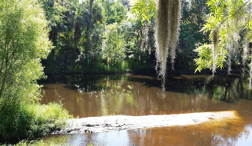 Paynes Creek Historic State Park, Florida, USA